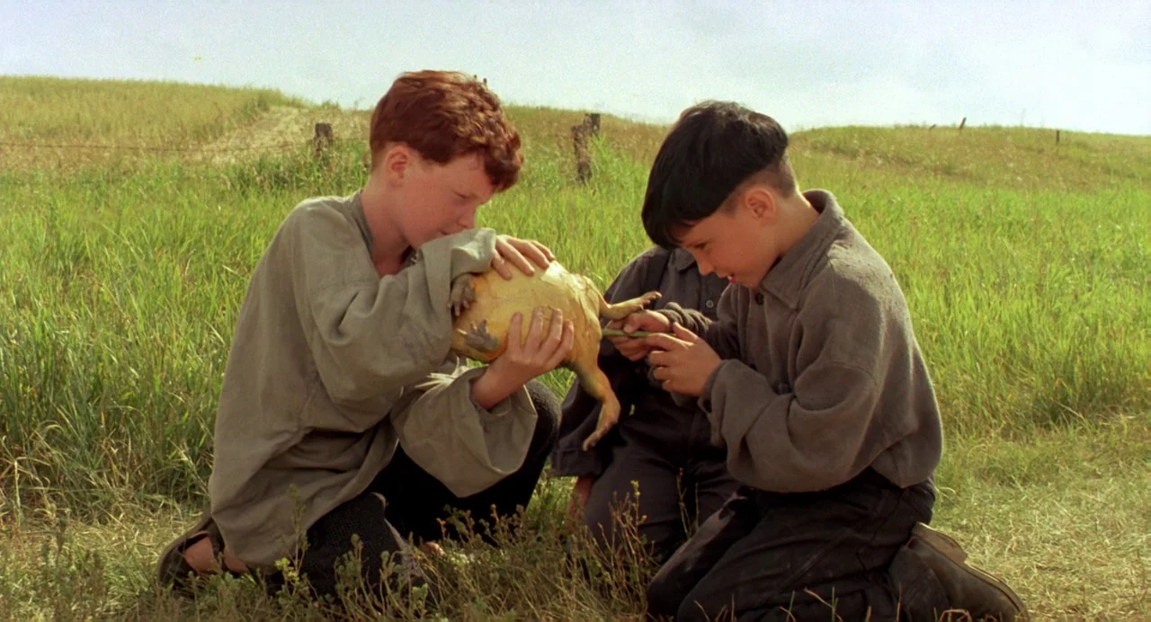The Reflecting Skin (1990) movie still: medium — Two young boys kneel in an open grassy field under a bright sky. They hold a large, light-colored…