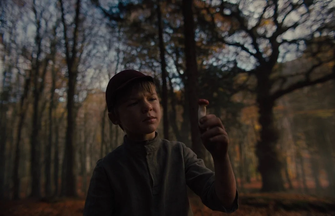 Gretel & Hansel (2020) movie still: medium — A dark deciduous forest with tall slender trees and fallen leaves covers the ground. A young boy in a…