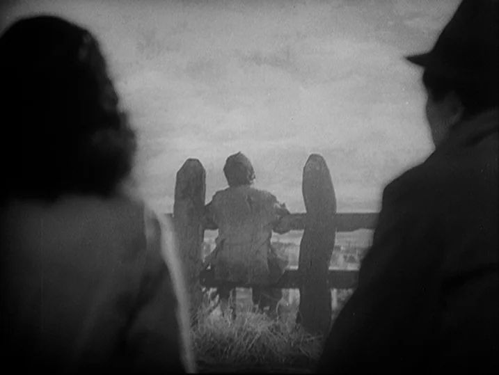 Anatomy of a Relationship (1976) movie still: wide — A grassy hill ridge features a rustic wooden fence against a cloudy sky. Two adults observe a…