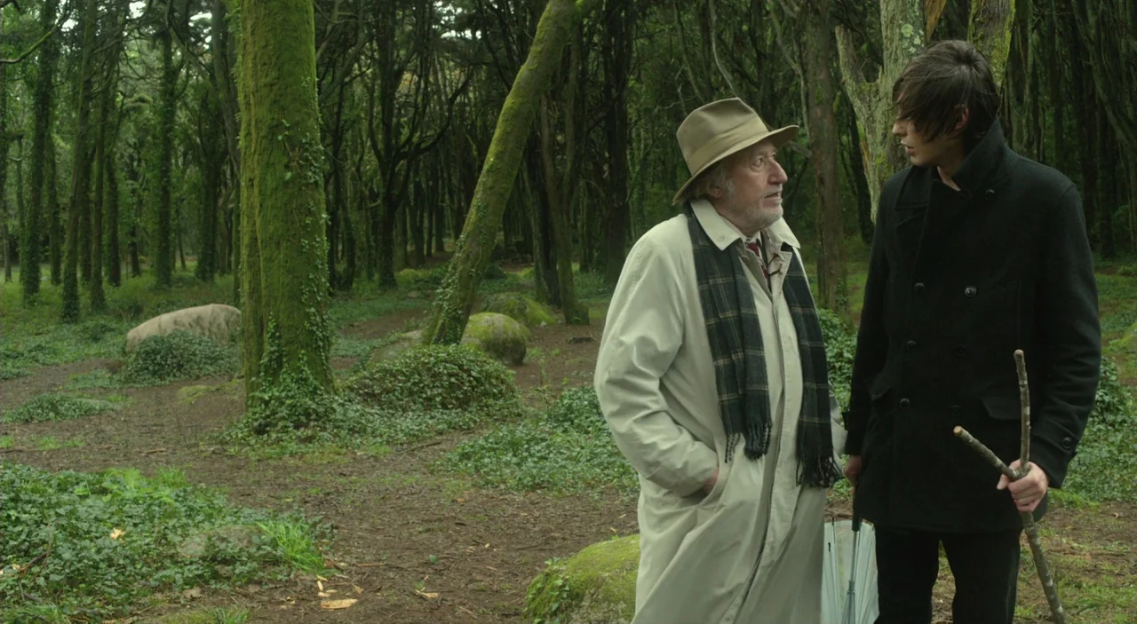 Cosmos (2015) movie still: medium — A dense forest floor is covered in green moss, ivy, and scattered boulders. An older man and a younger man stand…