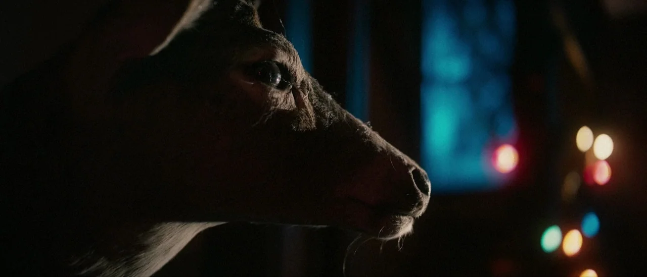 I Trapped The Devil (2019) movie still: closeup — A taxidermy deer head is mounted in a dimly lit room at night. Out of focus multi-colored festive…